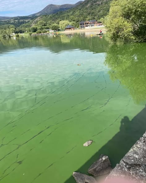 Photo_lac_Chambon.jpg Photo_lac_Chambon.jpg